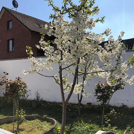Appartement Kleve-Kellen 1 Extérieur photo