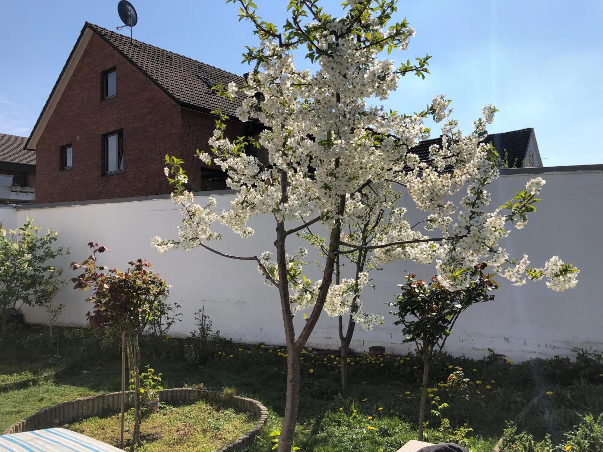 Appartement Kleve-Kellen 1 Extérieur photo